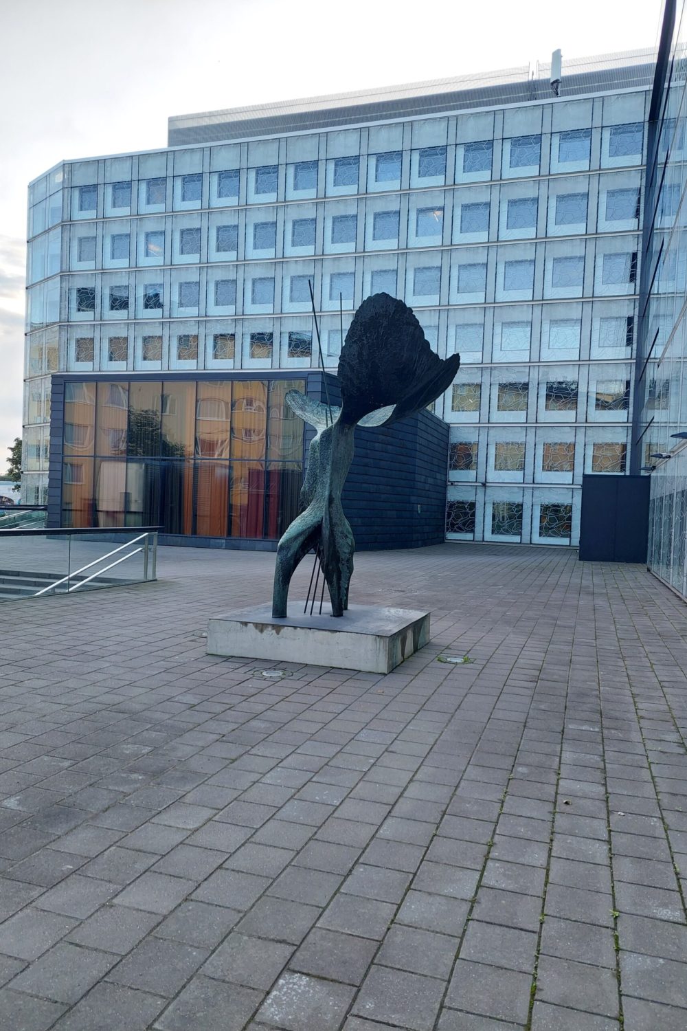 Kuva kannelta1